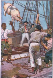 The Pig Squealed Like the 